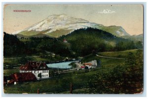 1922 Mountains Houses Roads View Wienerbruck Austria Antique Postcard
