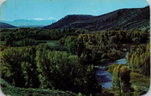 Autumn Time Upper Bear River Valley Forestry Unita Mountains Postcard Unused UNP 