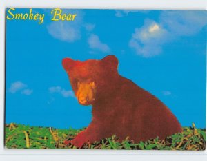 Postcard Smokey Bear, Capitan, New Mexico, USA