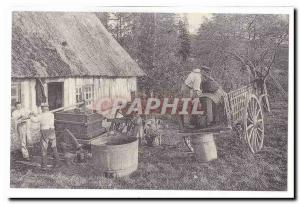 In Normandy Old Postcard Winemakers (reproduction)