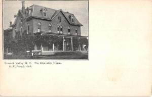 Newark Valley New York Dimmick House Street View Antique Postcard K57814