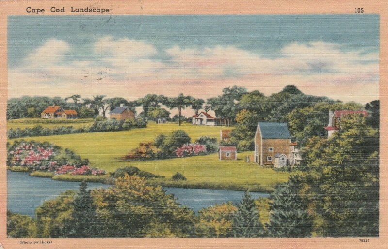 Cape Cod Landscape