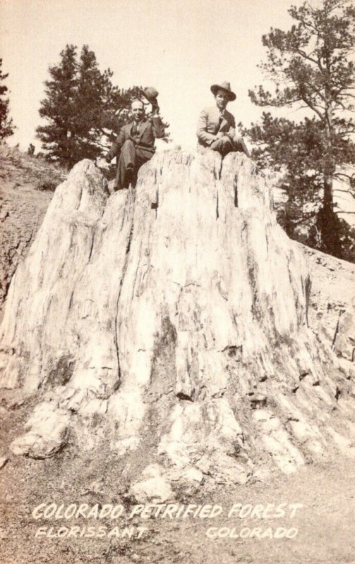 Colorado Florissant Colorado Petrified Forest Real Photo