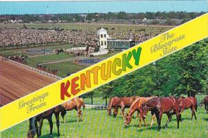 Greetings From Kentucky Showing Horses and Churchill Downs