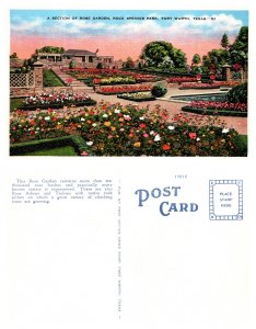 A Section of Rose Garden, Rock Springs Park, Fort Worth, Texas (8742)