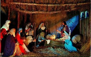 Nativity Scene Christus Biblical Gardens Gatlinburg TN UNP Chrome Postcard B2