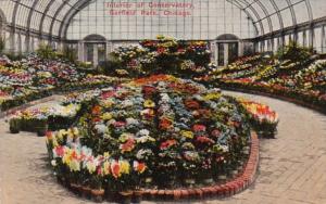 Illinois Chicago Conservatory Interior Garfield Park