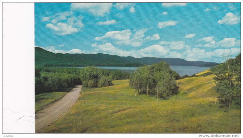 Scenic view,  Francois Lake,  Hwy 16,  B.C.,  Canada,  40-60s