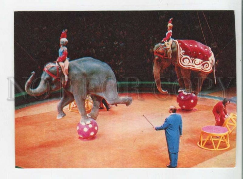 480952 1979 Soviet circus attraction Elephants dancers Anatoly Kornilov Planeta