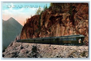 Looking North From Tunnel Scene On White Pass & Yukon Route Train Postcard