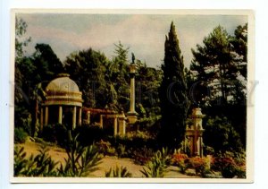 498559 USSR 1963 year Sochi arboretum publishing house Izogiz postcard