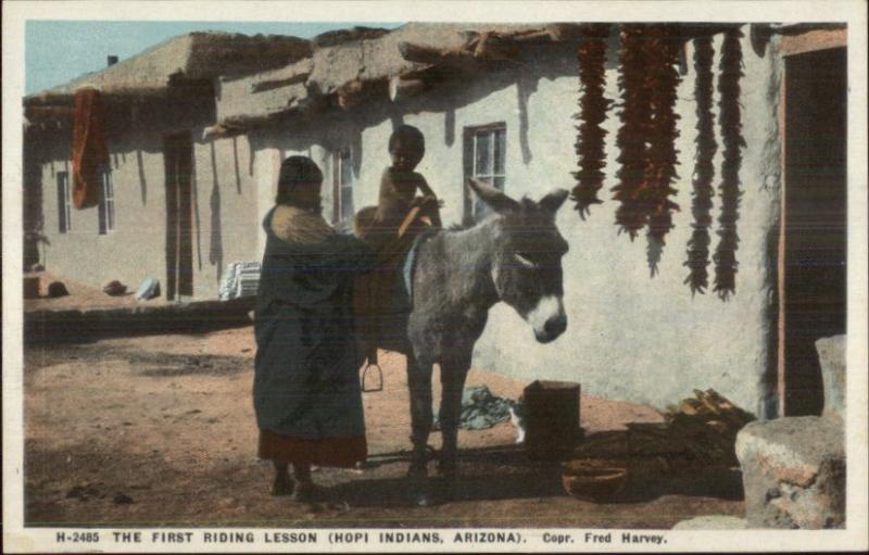 Fred Harvey H-2485 Hopi Indians Little Boy on Donkey c1920 Postcard