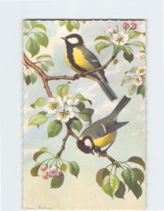 Postcard Two Beautiful Bird on a Tree Branch with Flowers