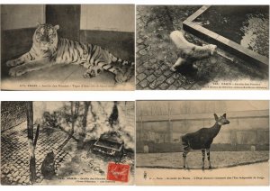 ZOO JARDIN DE PLANTES 200 Vintage ANIMAL Postcards pre-1930 (L4066)