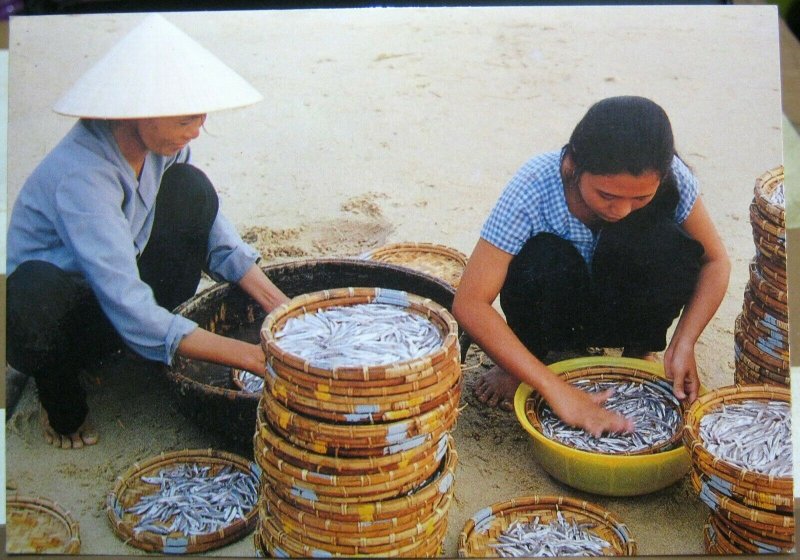 Vietnam Que Huong Fishery - unposted