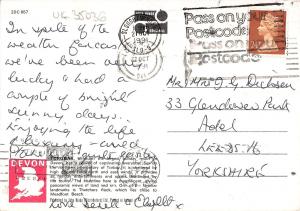 uk35036 night time in torquay devon  uk