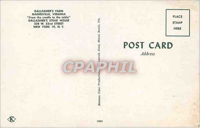 Postcard Modern Gainesville Virginia Gallagher's Farm