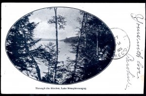 Vermont Lake Memphremagog Through the Birches pm1905 - Und/B