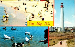 Lighthouses Multi View Cape May New Jersey