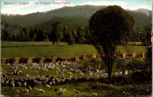 Oregon Sheep Farm Split Rail Fence Postcard