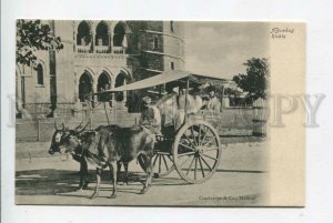 426322 INDIA BOMBAY Rickla buffalo cart Vintage postcard