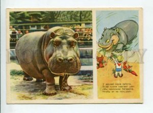 3165371 ZOO Hippopotamus HIPPO & Pioneer Old Soviet PC