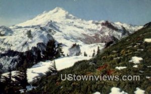 Mount Baker, Wash,