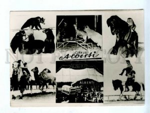 536055 CIRCUS Alberti ADVERTISING photographic multi-views training Old postcard