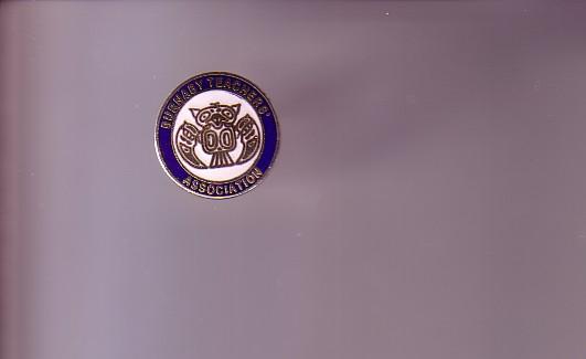 Pin, Enamal, Burnaby Teachers' Association, British Columbia