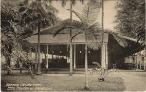 PC BATAVIA WELTEVREDEN Planten en Dierentuin INDONESIA (a18287)