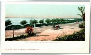 Lake Calhoun Boulevard, Minneapolis MN UDB Vintage Postcard V08