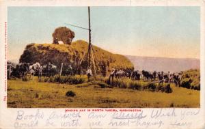 NORTH YAKIMA WASHINGTON MAKING HAY~EDWARD MITCHELLPOSTCARD 1907 PMK