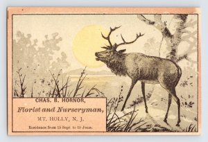 Osborne House Inn Hotel, Ocean Grove New Jersey Victorian Trade Card w/ Elk  T1d