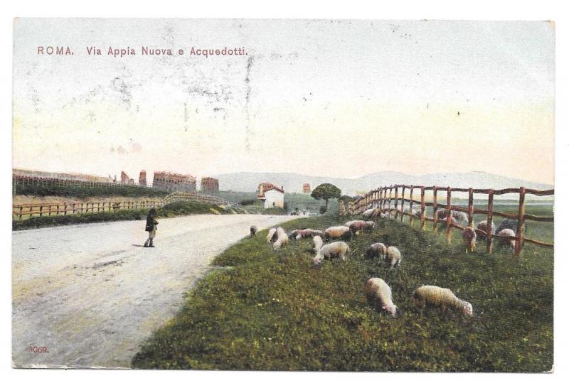 Italy Roma Via Appia Sheep Appian Way Aquaduct Vtg Postcard