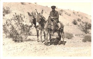 Near Beaty NV Death Valley Prospector Donkey's, Postcard,