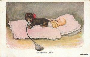 Artist impression 1910 Dachshund Dog art sucking baby interior postcard 8075