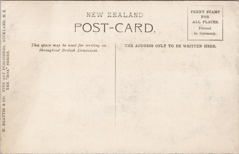 The Pink Terrace Lake Rotomahana Rotorua NZ New Zealand Unused Postcard F9