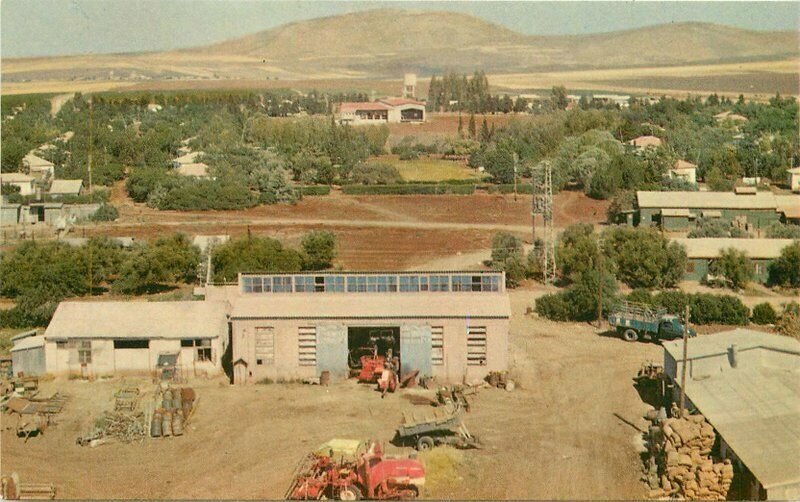 Israel 1960s Moldet General view Birdseye Postcard Agriculture 22-1849