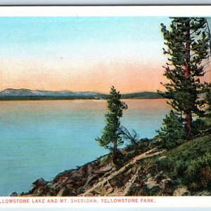 c1910s Yellowstone Park, WY Lake Mt. Sheridan Tree J.E. Haynes Photo #10116 A226