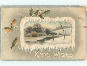 Divided-Back CHRISTMAS BIRDS SCENE Pretty Postcard W8532