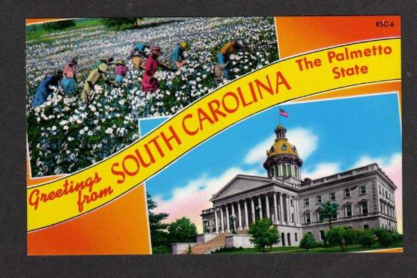 SC Greeting from SOUTH CAROLINA Postcard Palmetto State