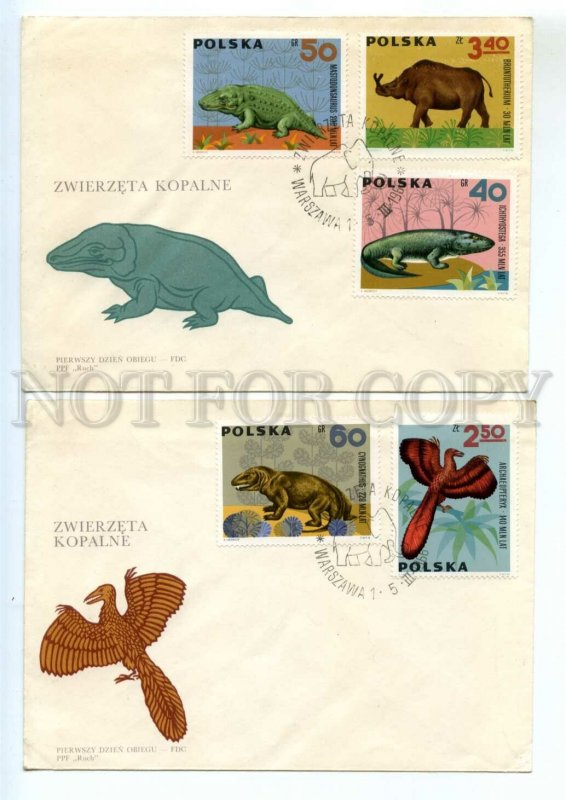 487235 POLAND 1966 year set of FDC fossil animals dinosaurs