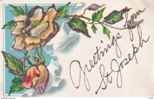 ST. JOSEPH, Illinois, 1900-1910s; Roses