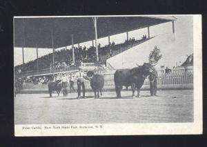 SYRACUSE NEW YORK STATE FAIR PRIZE CATTLE SHOW ANTIQUE 