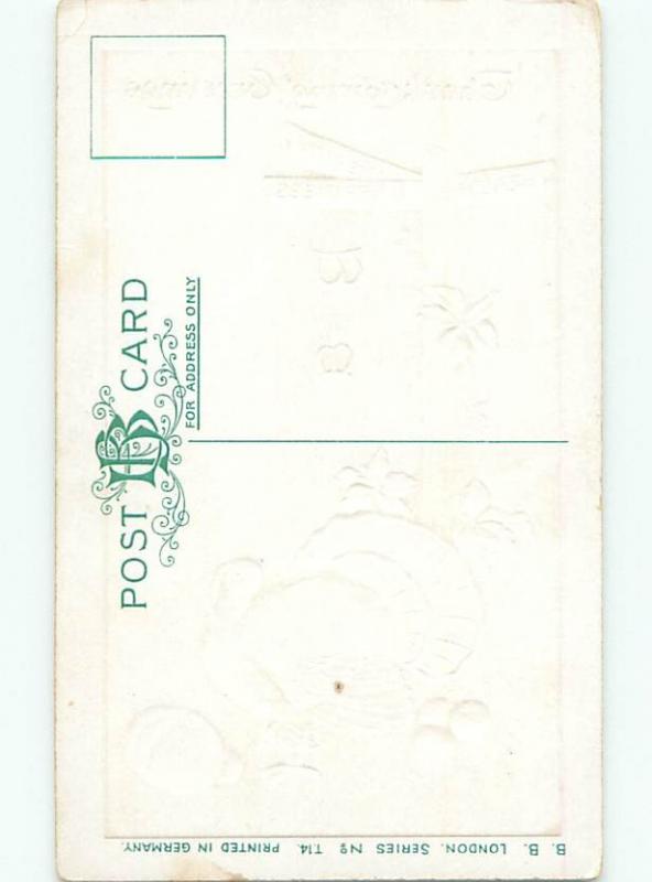 Divided-Back THANKSGIVING SCENE Great Postcard AA0583