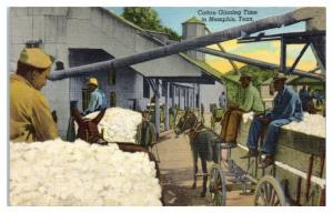 Mid-1900s Cotton Ginning Time, Memphis, TN Postcard