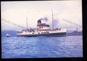 F2877 - Caledonian S.Pkt. Co. Paddle Steamer - Caledonia - built 1934 - postcard