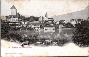 Switzerland Spiez Am Thunersee Vintage Postcard C162