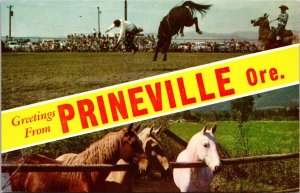 Greetings from Prineville Oregon Postcard banner Cowboy Bucking Horse