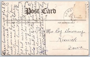 Artist Signed Cobb Shinn Comic Pun~Fantasy Dressed Duck~c1910 Postcard